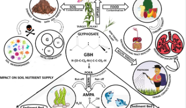 Photo of Glyphosate: Understanding Its Harmful Effects on Human Health