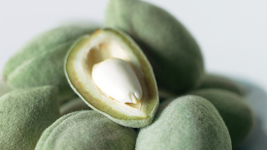 Photo of Monsoon Special: Why Green Almonds Deserve a Place on Your Plate